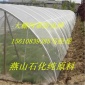 安平縣塑料防蟲網 抗老化大棚防蟲網的生產基地野營村