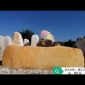1.3米黃蠟石臥石 自然景石產(chǎn)地批發(fā) 英德園藝景觀石